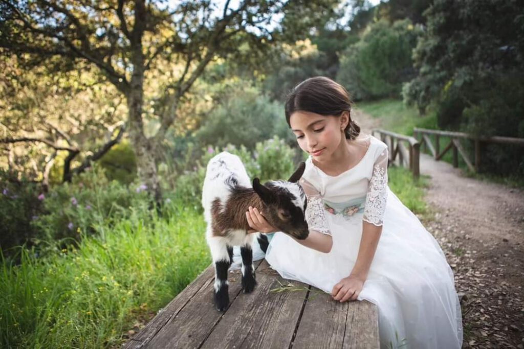 FB IMG 1701157401371